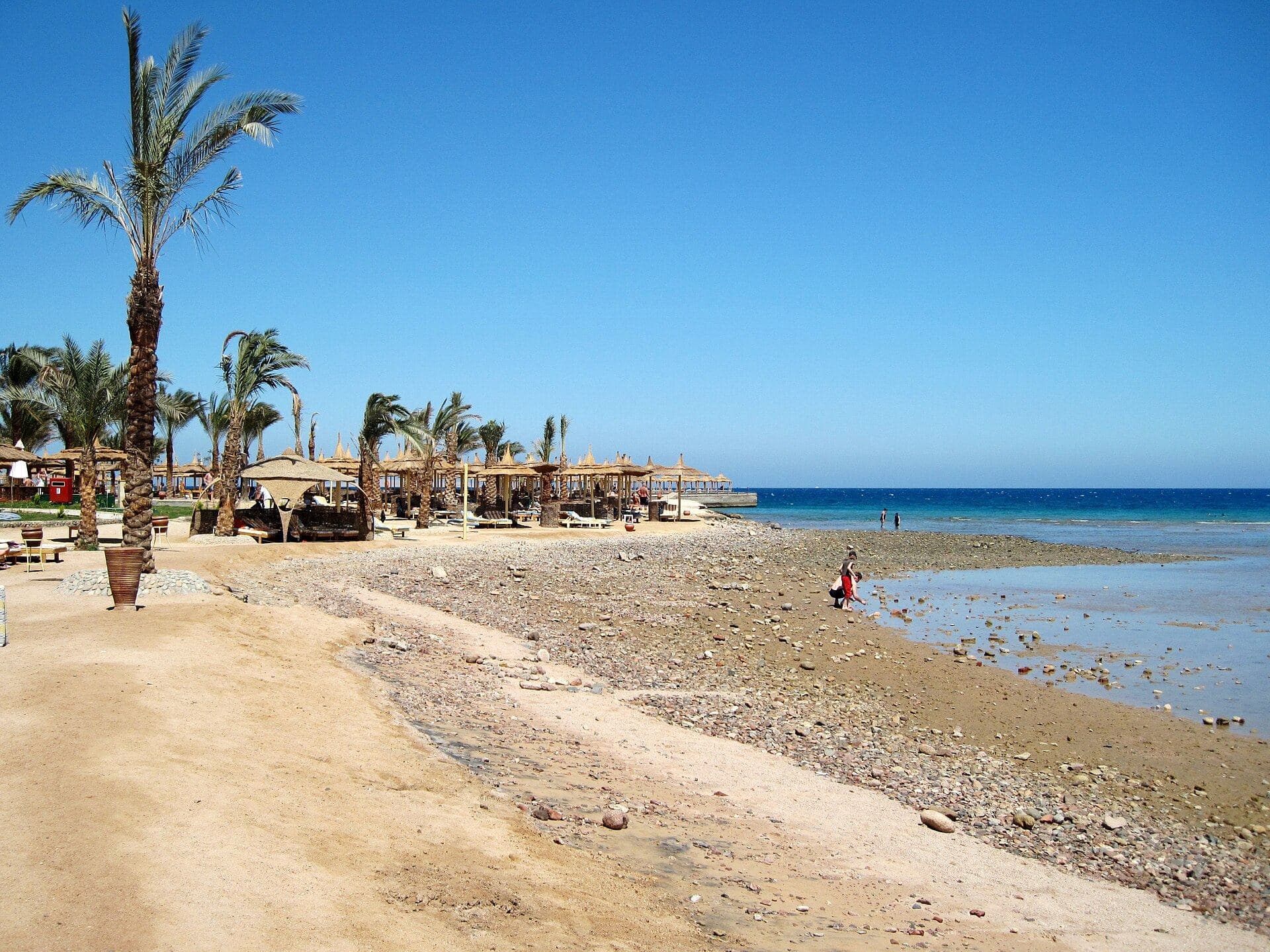 Plaża z palmami i parasolami nad Morzem Czerwonym w Hurghadzie